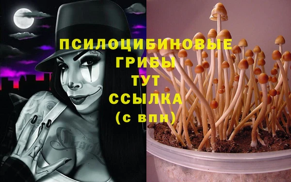 твердый Покровск