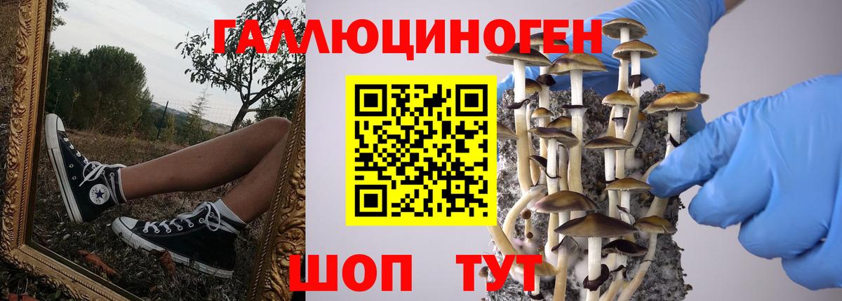 Псилоцибиновые грибы мицелий Верхняя Салда