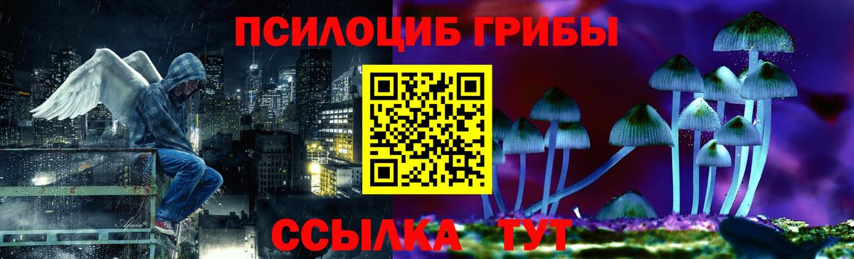 купить наркотик  Верхняя Салда  Псилоцибиновые грибы мухоморы 